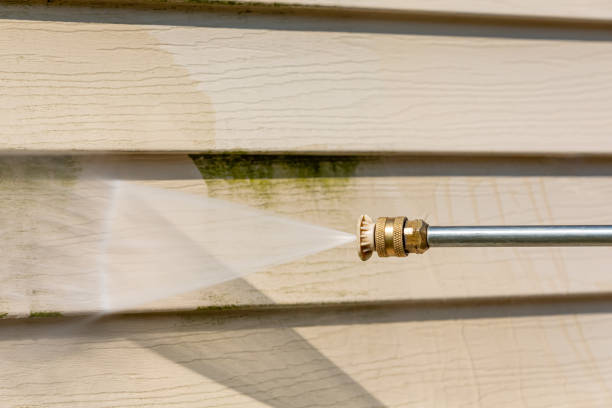 Best Roof Pressure Washing  in Dermott, AR